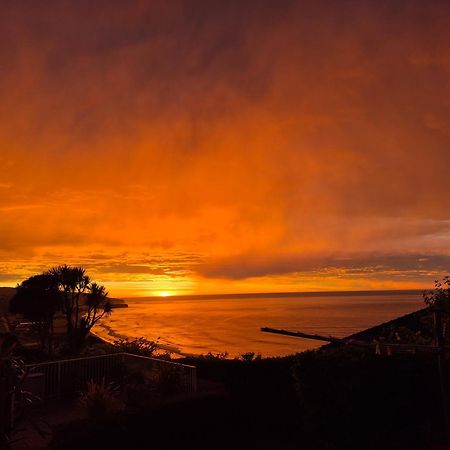Rosemount B&B By The Sea St Clair Dunedin Exteriör bild