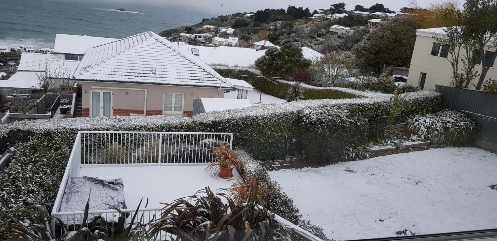 Rosemount B&B By The Sea St Clair Dunedin Exteriör bild
