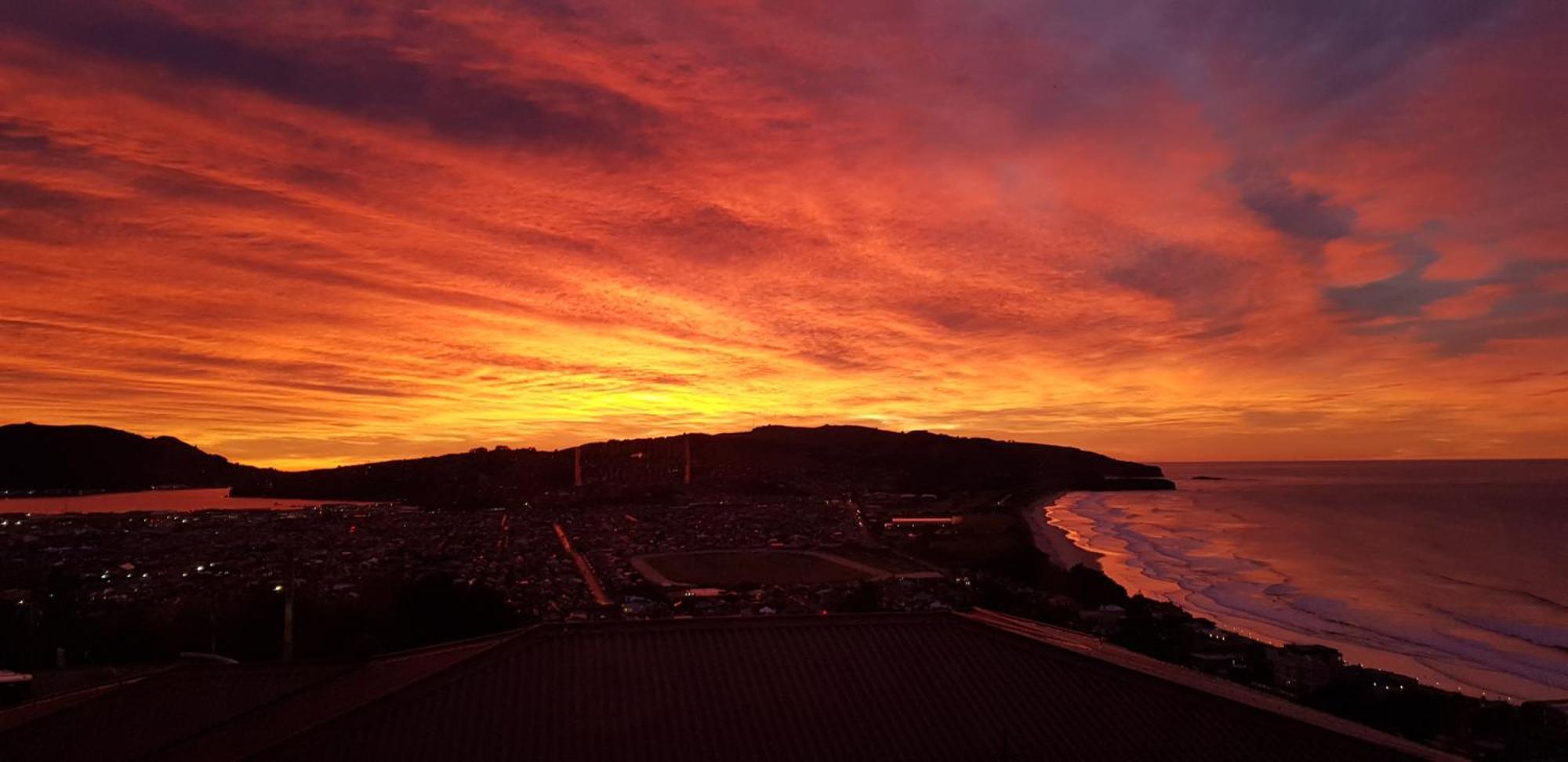 Rosemount B&B By The Sea St Clair Dunedin Exteriör bild