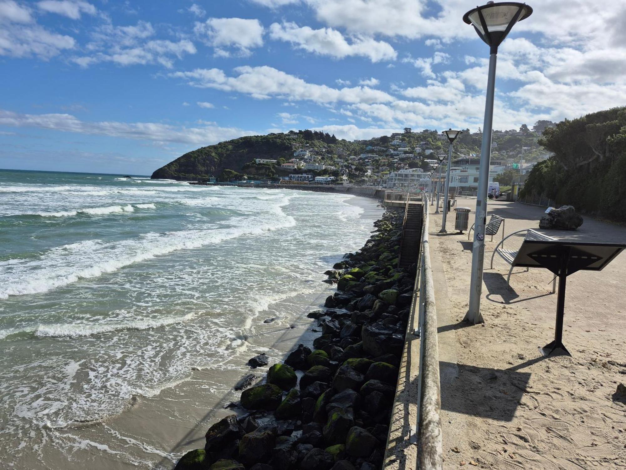 Rosemount B&B By The Sea St Clair Dunedin Exteriör bild